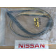 Original Nissan Laurel C31 Dichtung Tür vorne rechts 80826-01L01 80826-01L02 80826-01L00