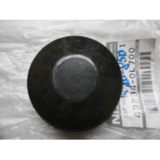 Original Nissan Nabenkappe Hinterachse 43234-0L700