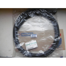 Original Nissan Almera Tino V10M Dichtung Einstieg hinten rechts 76923-BU005 76923-BU000